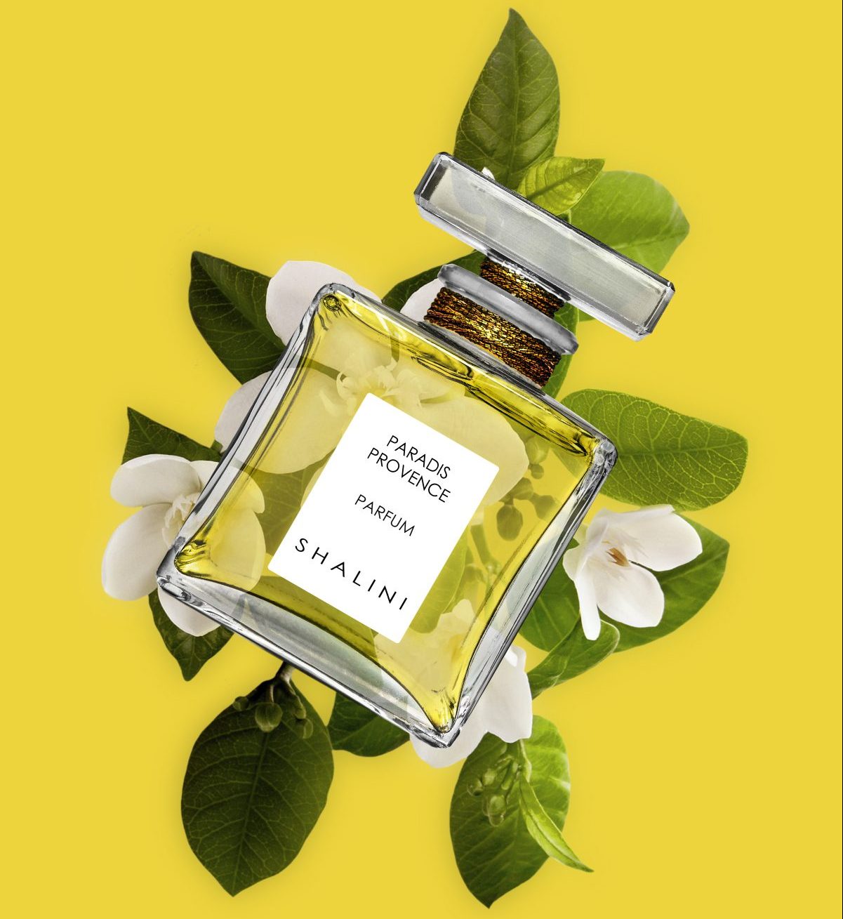 Shalini Parfum Introduces Paradis Provence created by Perfumer Maurice