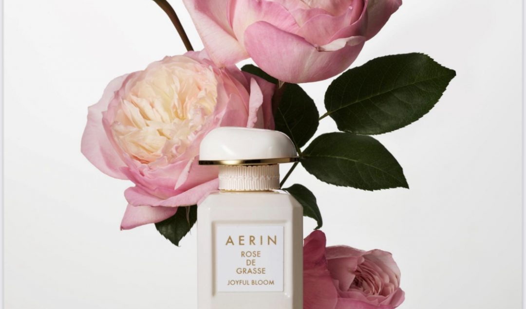 日本未発売AERIN ROSE DE GRASSE